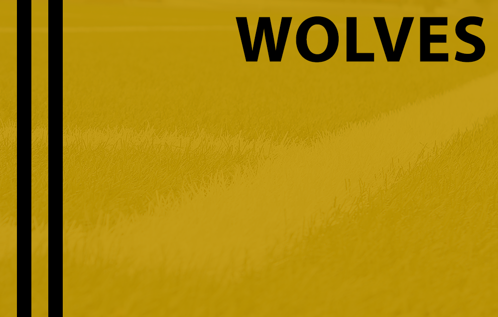 Thumbnail for version as of 18:51, 15 July 2018